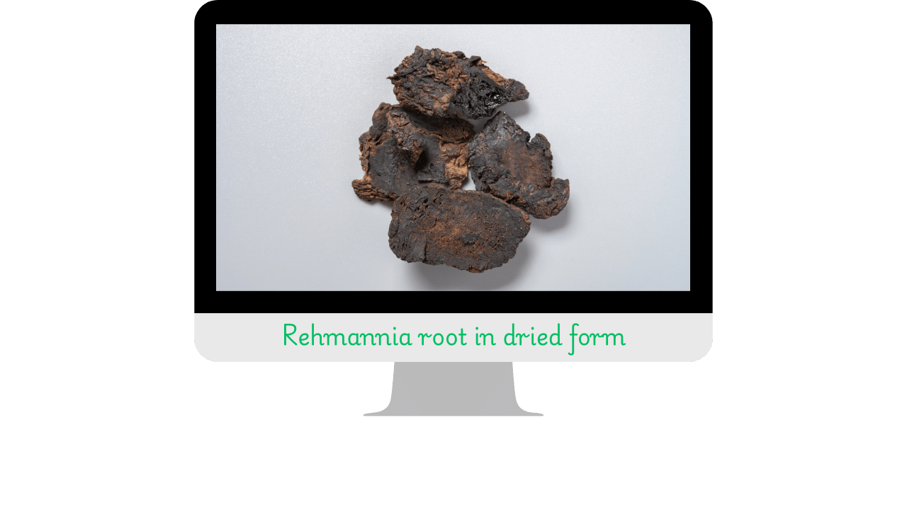 Rehmannia (Rehmannia glutinosa) : bienfaits, usages et securite